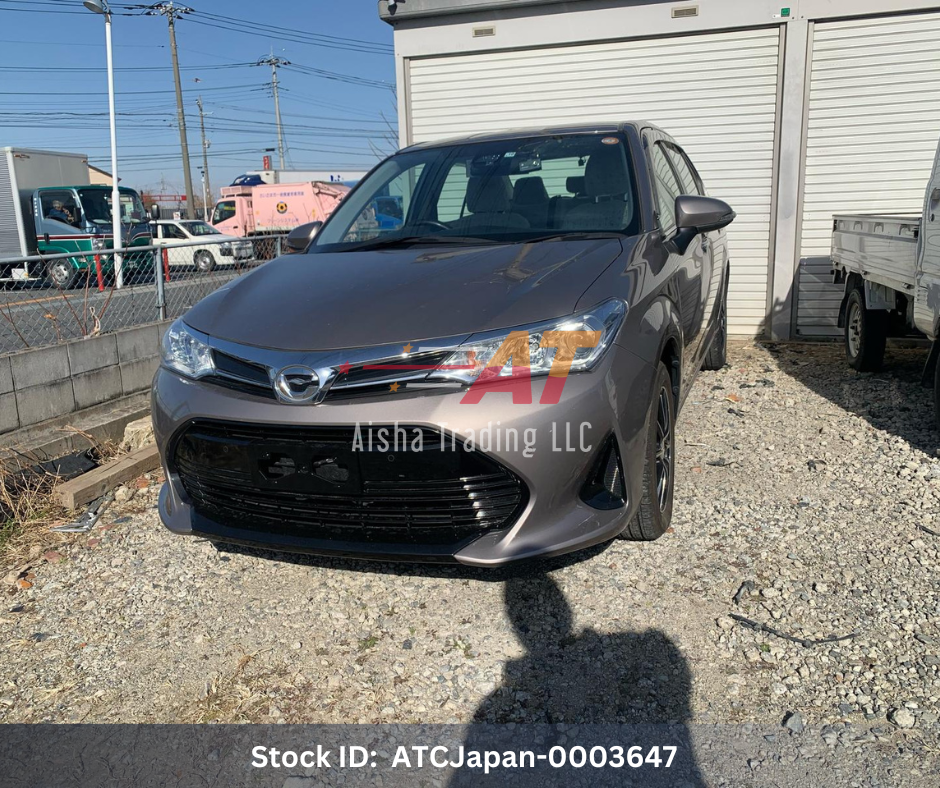 2019 Toyota Corolla Axio